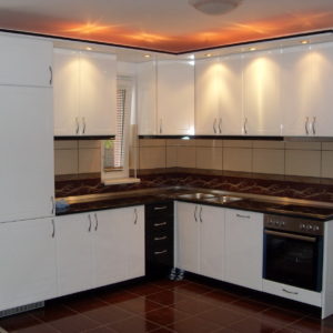 VLUU L100, M100  / Samsung L100, M100